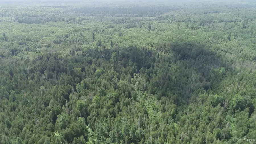 80 Acres Off M69, Crystal Falls, MI 49920 - Image #2