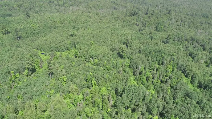 80 Acres Off M69, Crystal Falls, MI 49920 - Image #3