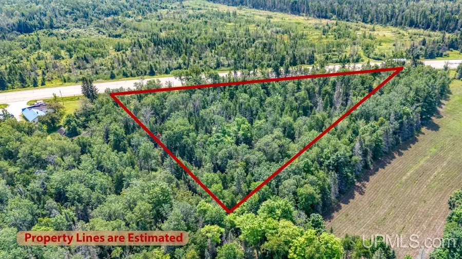 TBD M35, Cedar River, MI 49887 - Image #3