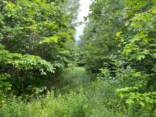 80 Acres Atherton, Trenary, MI 49891