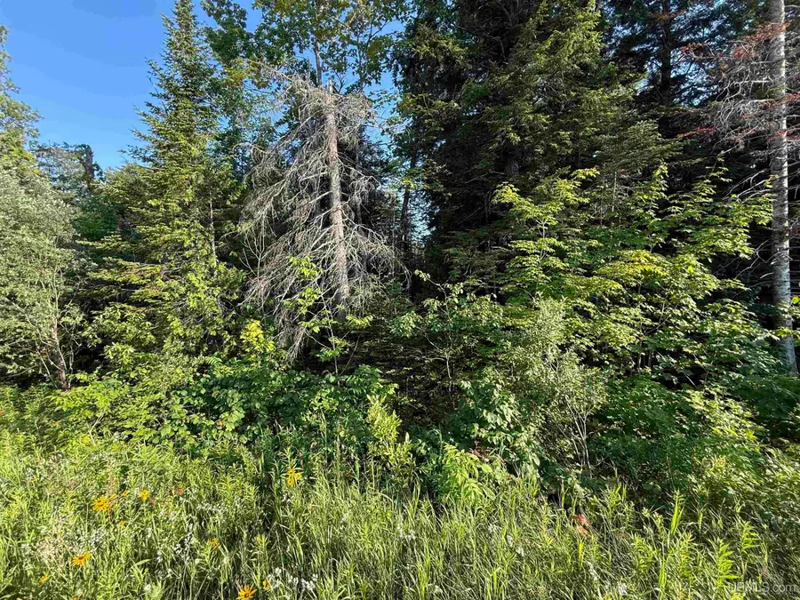 TBD H58, Munising, MI 49862 - Image #3