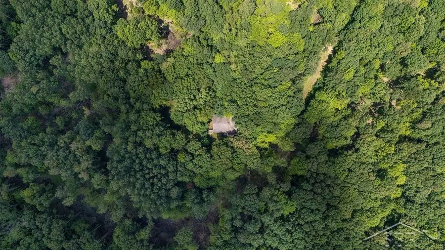 10801 N Pine Grove, Vestaburg, MI 48891 - Image #2