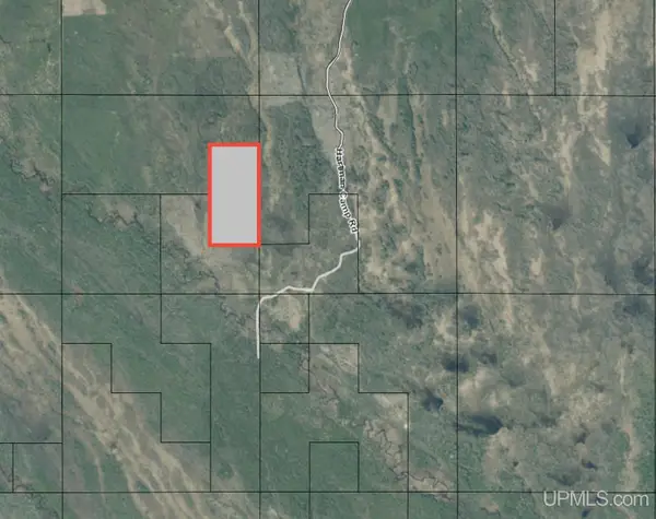 TBD Hartman Camp, Manistique, MI 49854