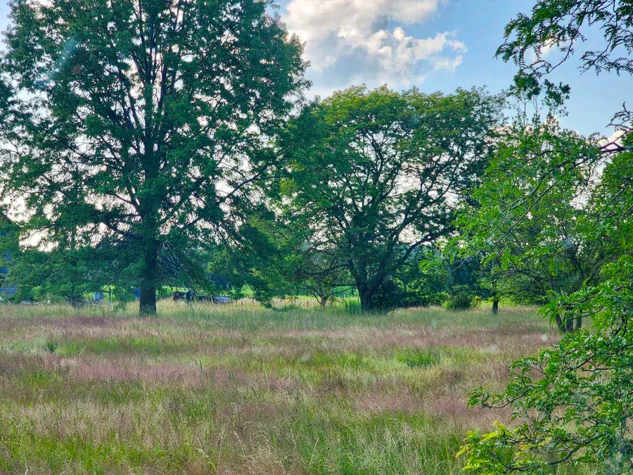 Vacant Springborn, Casco, MI 48064 - Image #2