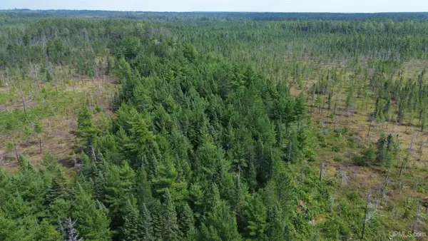 9040 Bone Lake, Newberry, MI 49868