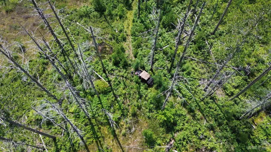 9040 Bone Lake, Newberry, MI 49868 - Image #2