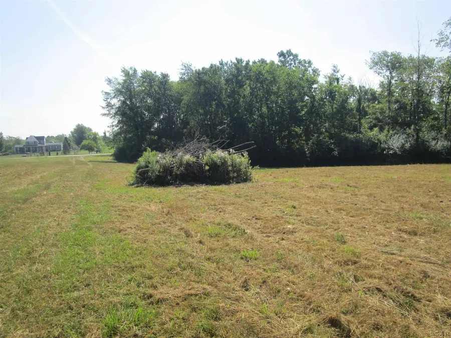 9000 Matthews, Tecumseh, MI 49286 - #3