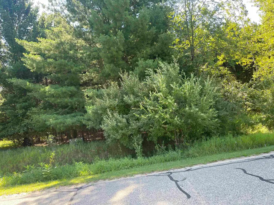 97 Salisbury, Gladwin, MI 48624 - Image #3