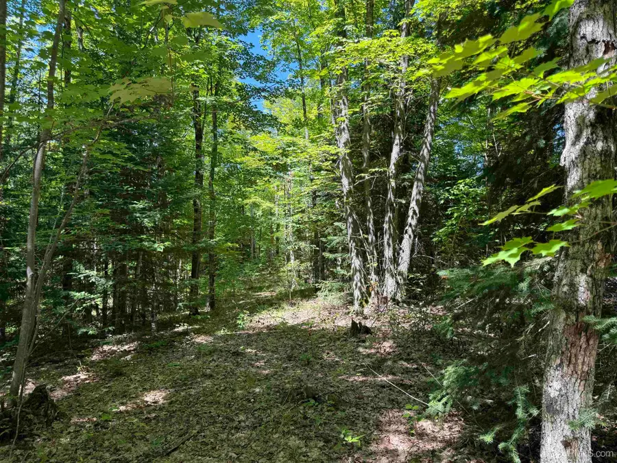 33.85 Acres Cable Lake, Crystal Falls, MI 49920 - Image #2