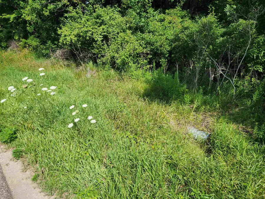 10 Acres Beaverton, Beaverton, MI 48612 - #3