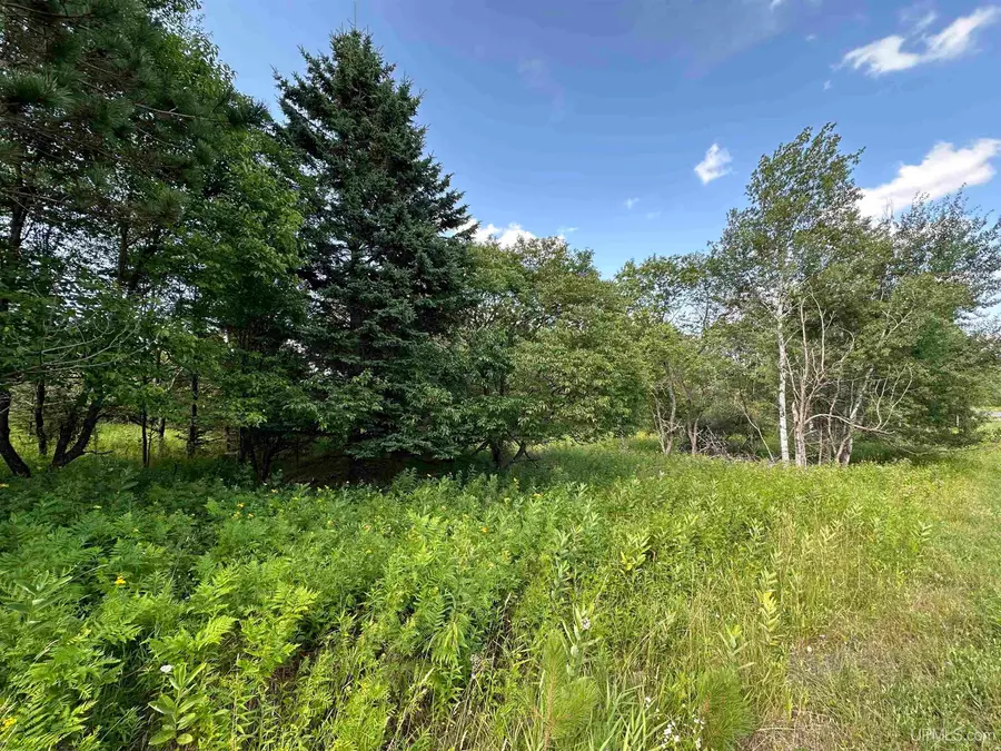 TBD Blossom, Iron River, MI 49935 - Image #3