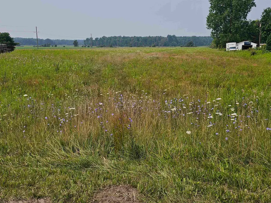 Vacant Old 51, Carsonville, MI 48419 - Image #2