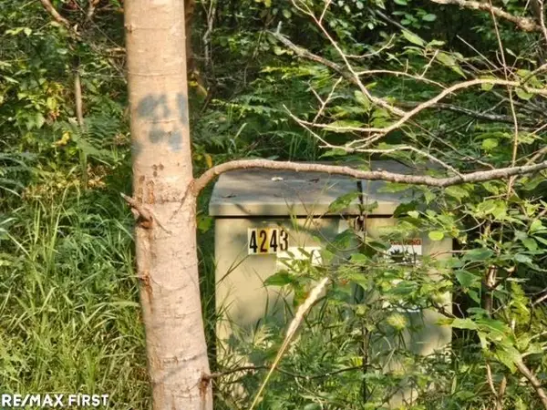 0 Pocahontas, Roscommon, MI 48653