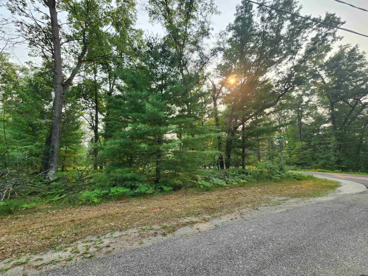 Lot 98 Wilderness, Alger, MI 48610 - Image #1