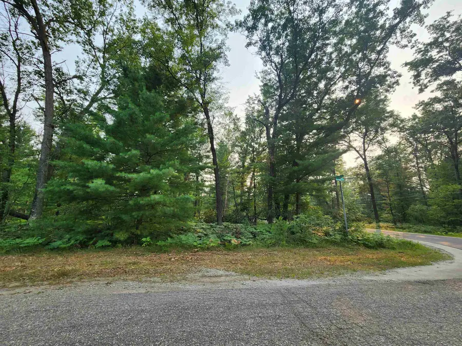 Lot 98 Wilderness, Alger, MI 48610 - Image #2