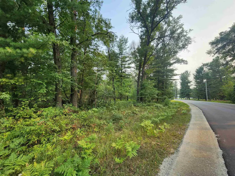 Lot 98 Wilderness, Alger, MI 48610 - Image #3