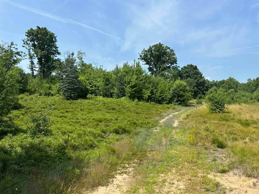 TBD Meredith Grade, Harrison, MI 48625 - Image #3