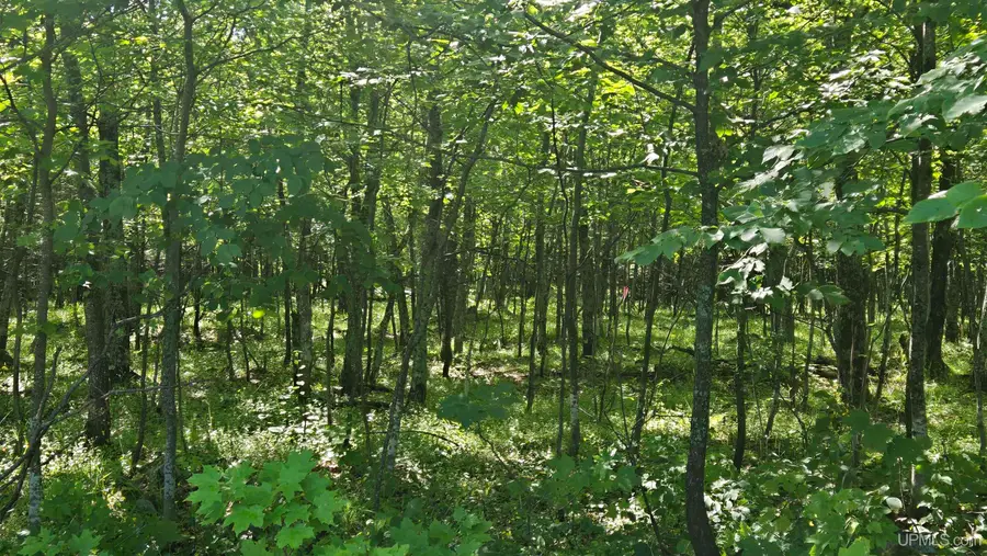 1021 Sedar Hill(parcel D), Calumet, MI 49913 - Image #3