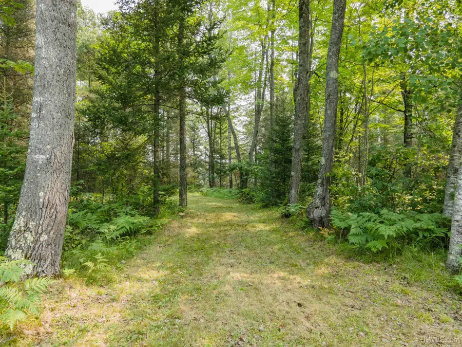 TBD Little Maggie, Crystal Falls, MI 49920 - Image #2