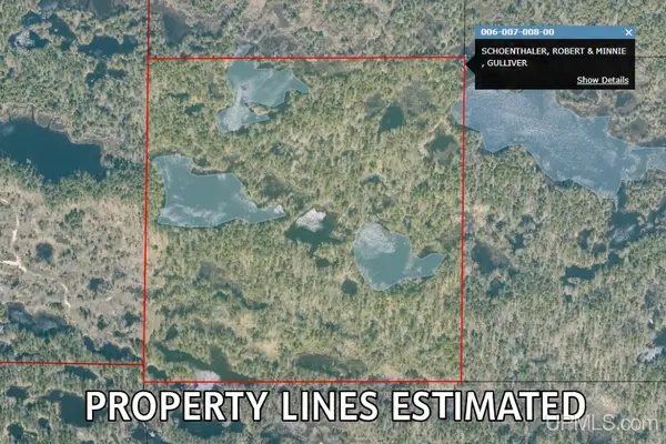 39+ Acres Tbd Road, Germfask, MI 49836