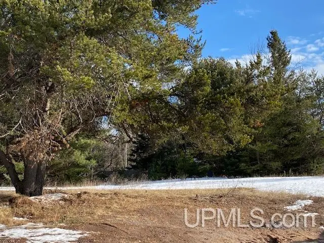 TBD S Us41, Skandia, MI 49885 - Image #1