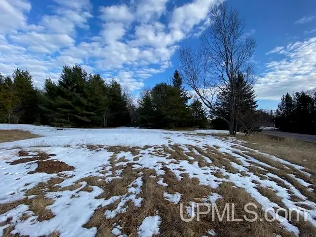TBD S Us41, Skandia, MI 49885 - Image #3