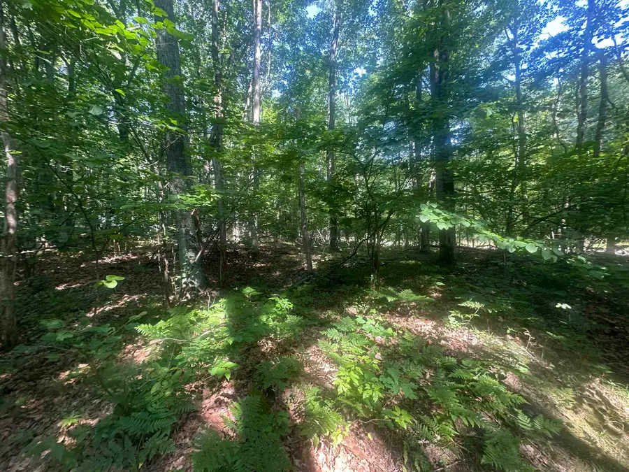 Lot#179 Mockingbird Circle, Farwell, MI 48622 - Image #2