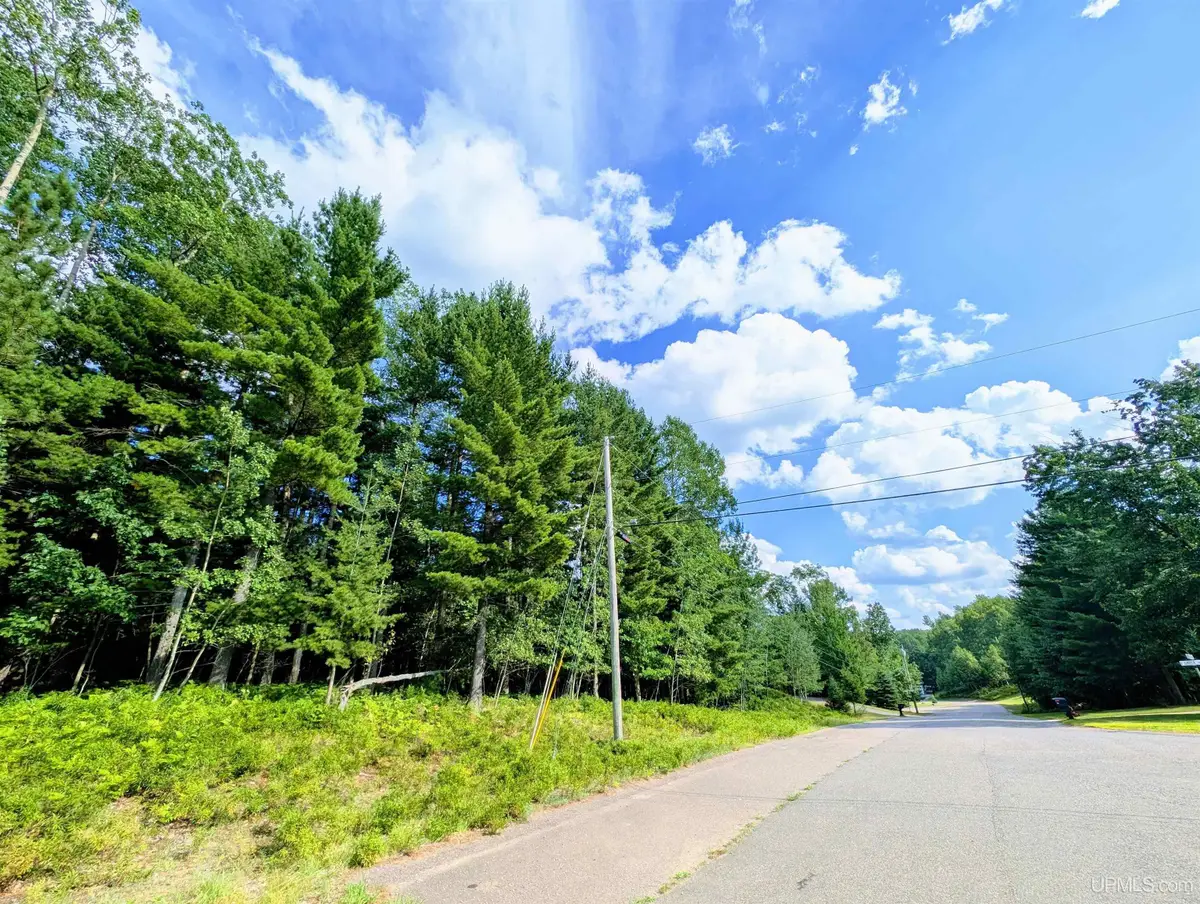 TBD David, Marquette, MI 49855 - #1