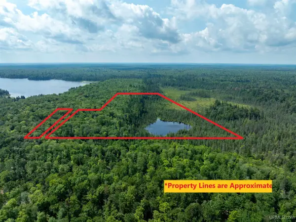 14789 N Crooked Lake/ross Lake, Shingleton, MI 49884