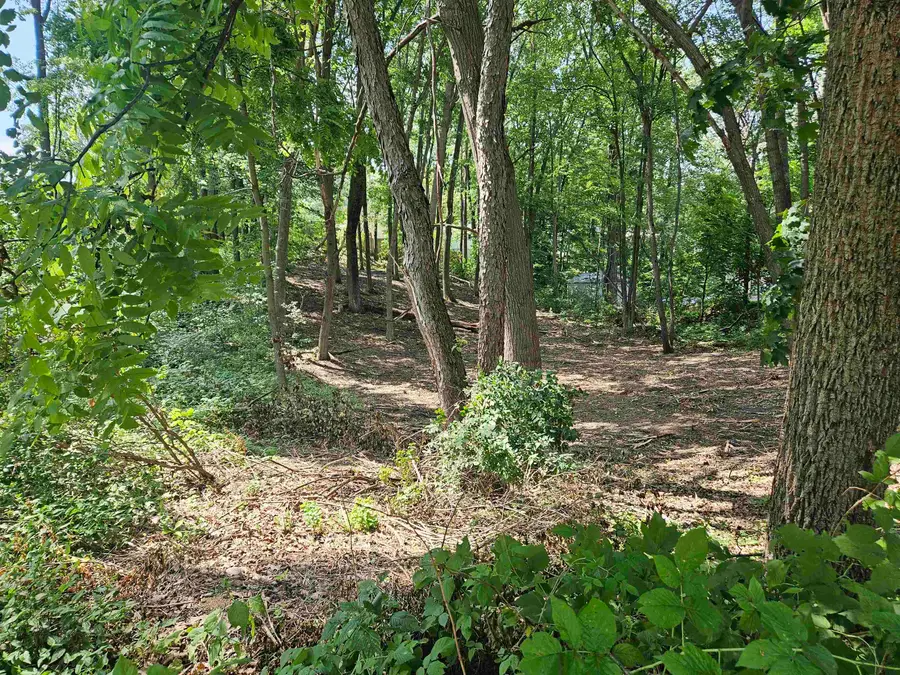 LOt 36 Lakeview, Harrison, MI 48625 - Image #2