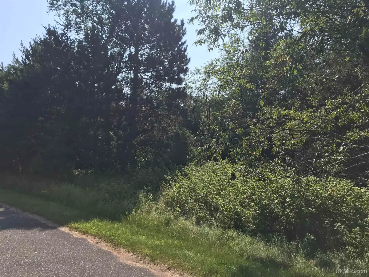 TBD Meadowbrook Hills, Florence, WI 54121 - Image #1