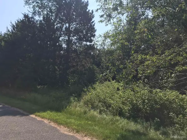 TBD Meadowbrook Hills, Florence T-WI, WI 54121