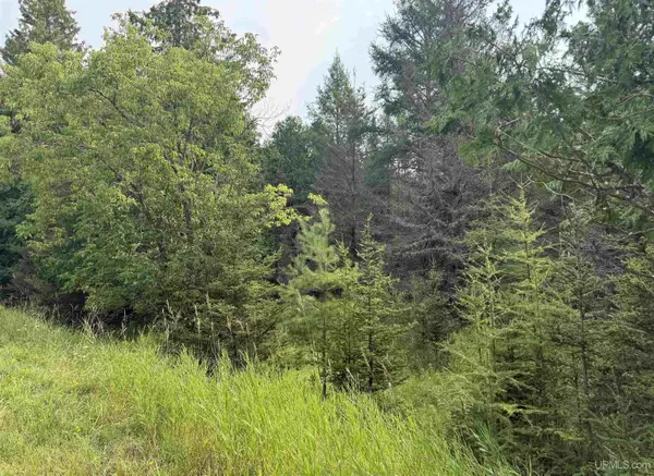 TBD County 503 Cc, Rapid River, MI 49878