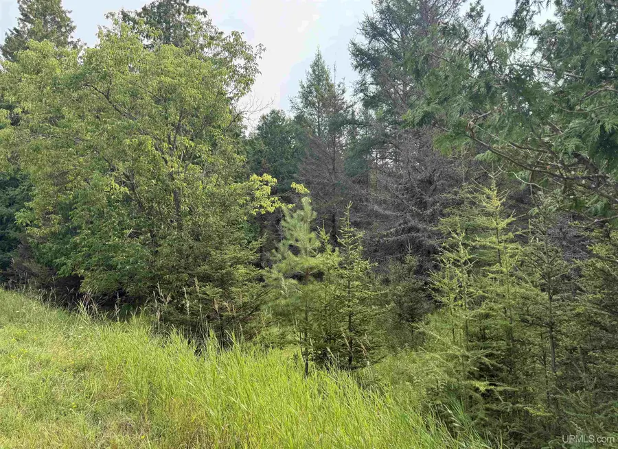 TBD County 503 Cc, Rapid River, MI 49878 - Image #2