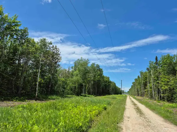 40 Acres Black Bear, Gulliver, MI 49840
