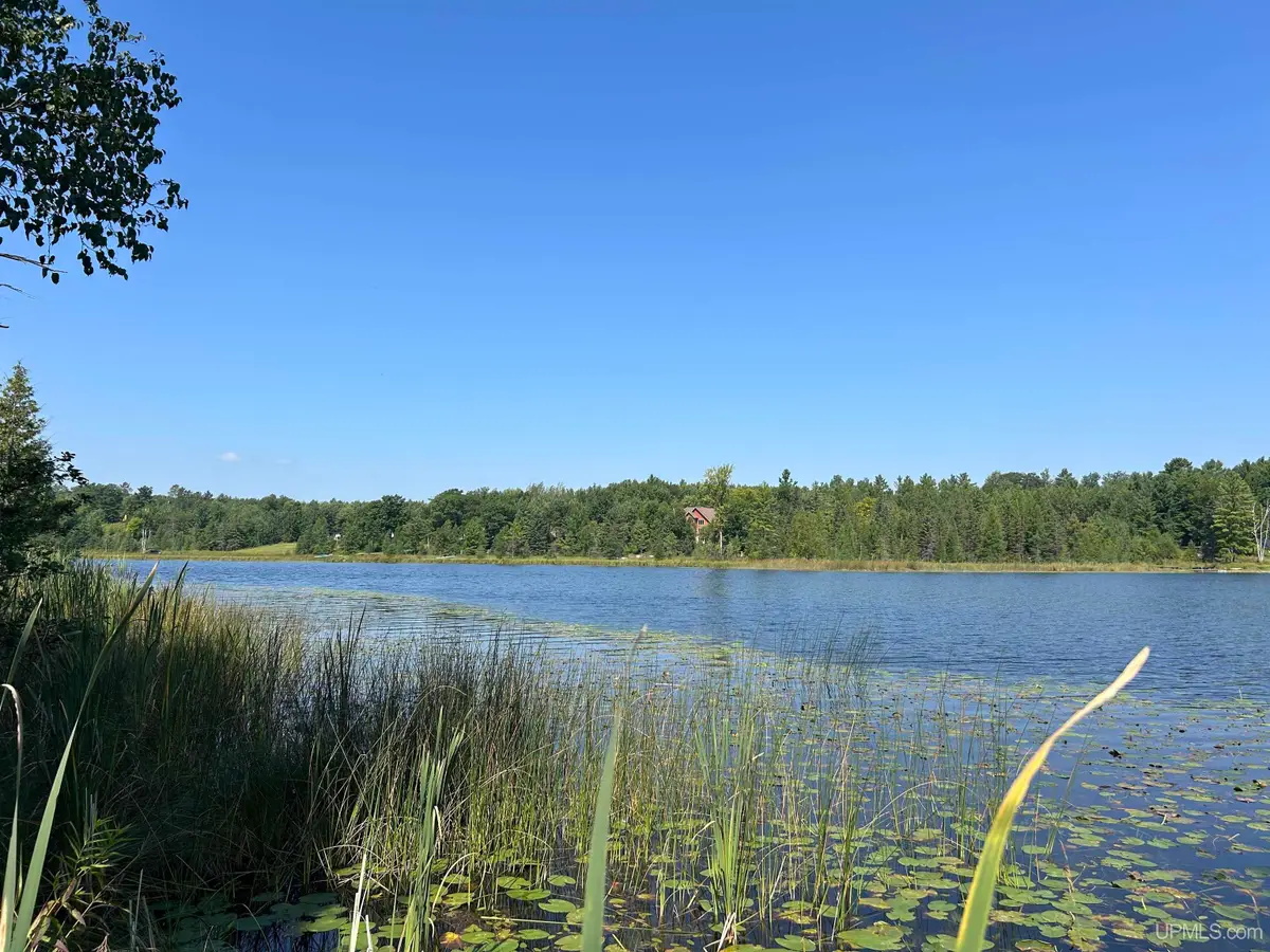 TBD Waucedah, Vulcan, MI 49892 - Image #1