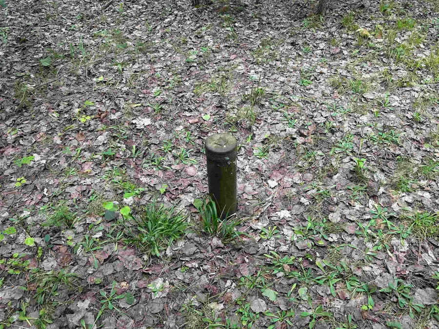 TBD Waucedah, Vulcan, MI 49892 - Image #3