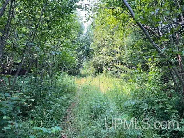 TBD Potato Patch, Lake Linden, MI 49945 - Image #3