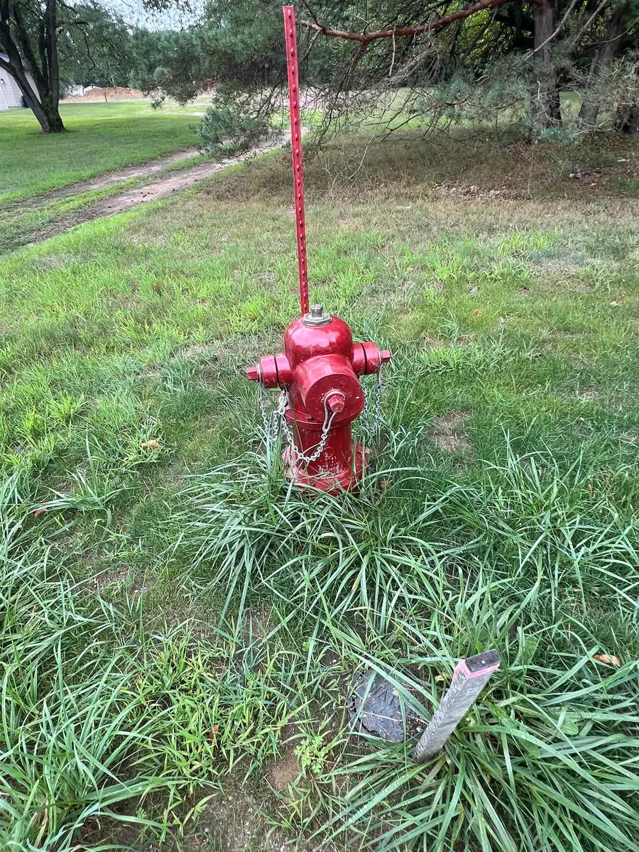 TBD Murphy, Coleman, MI 48618 - Image #3