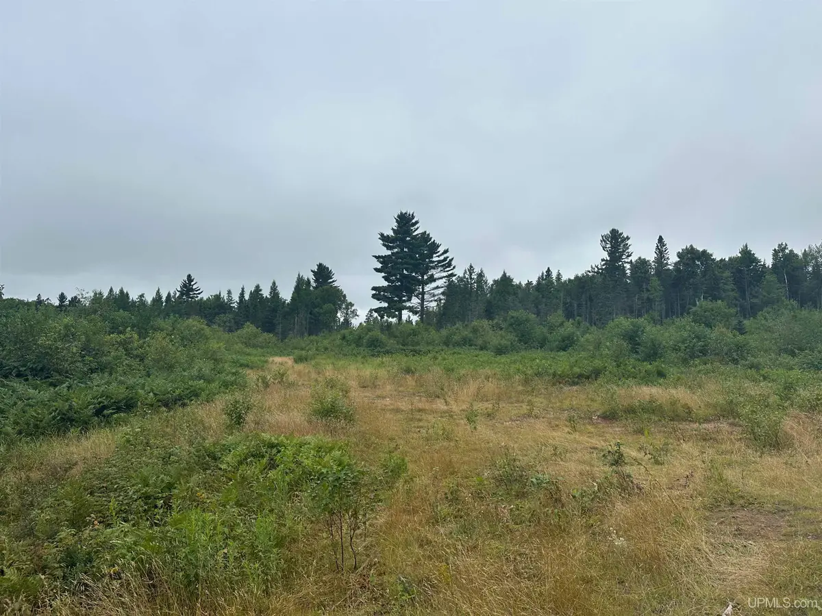 Off S Arfelin Lake, Michigamme, MI 49861 - Image #1