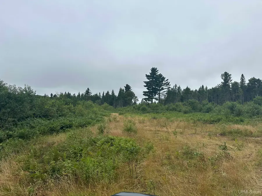 Off S Arfelin Lake, Michigamme, MI 49861 - Image #3