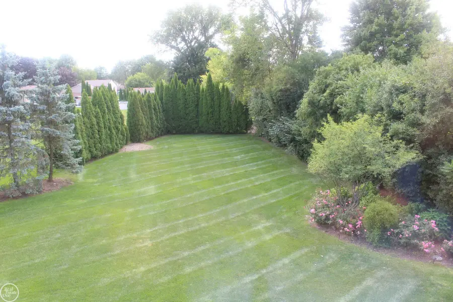 19804 Woodview, Clinton Township, MI 48038 - #2