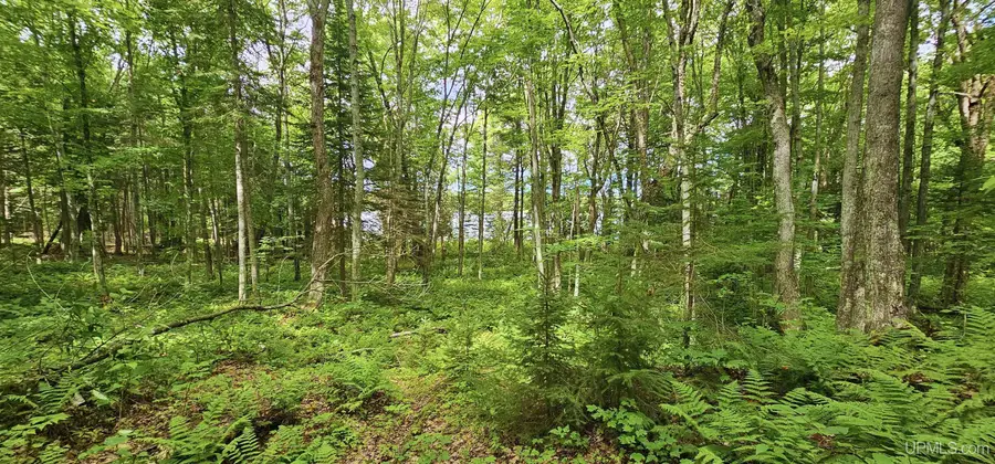 Lot 19 Keweenaw, Lake Linden, MI 49945 - Image #2