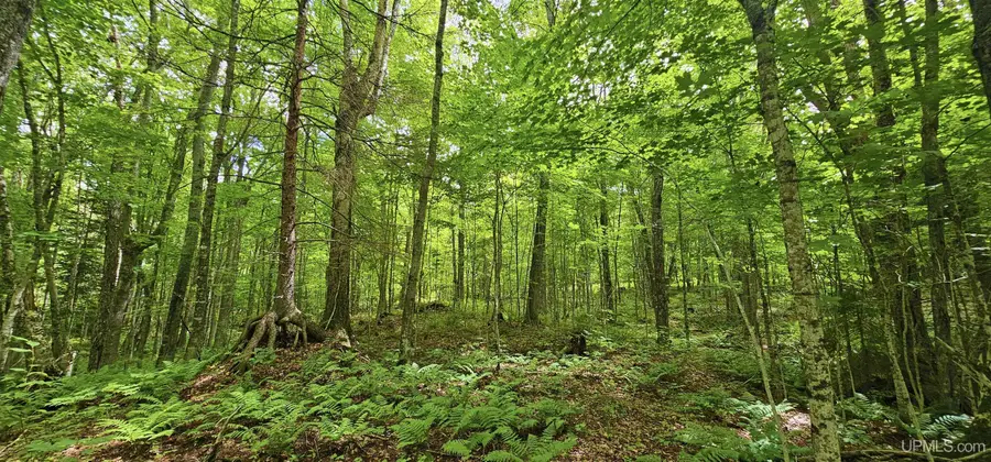 Lot 19 Keweenaw, Lake Linden, MI 49945 - Image #3