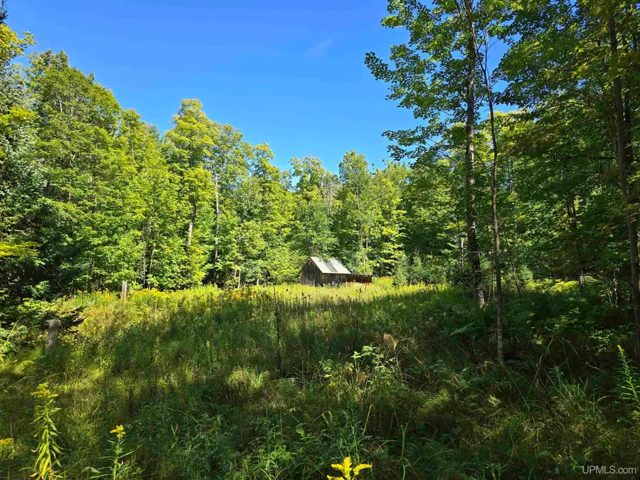 16454 Blue, Nisula, MI 49952 - Image #2