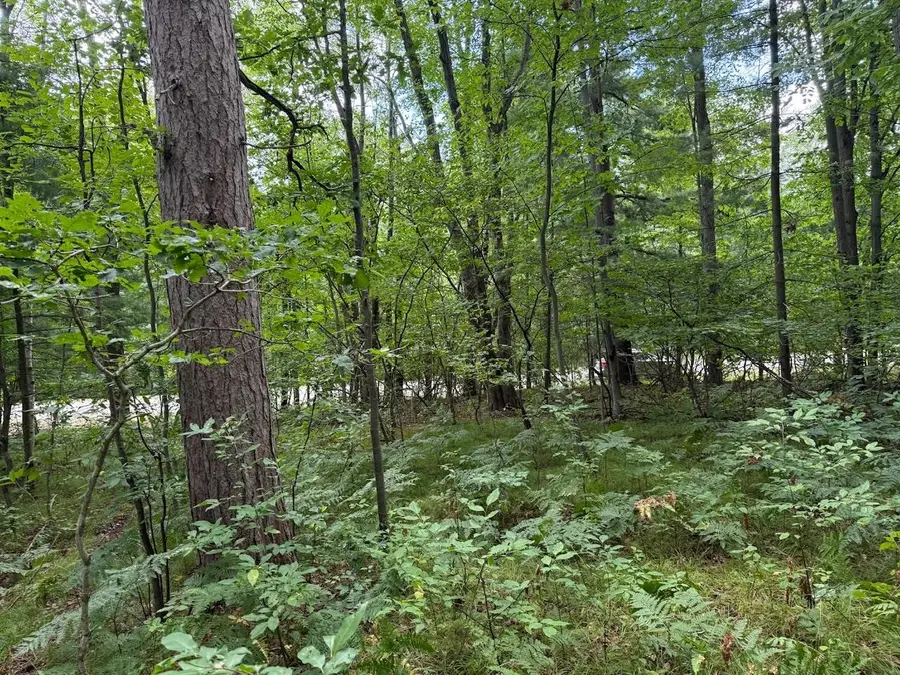 Lot 5 Hawthorne, Harrison, MI 48625 - Image #3