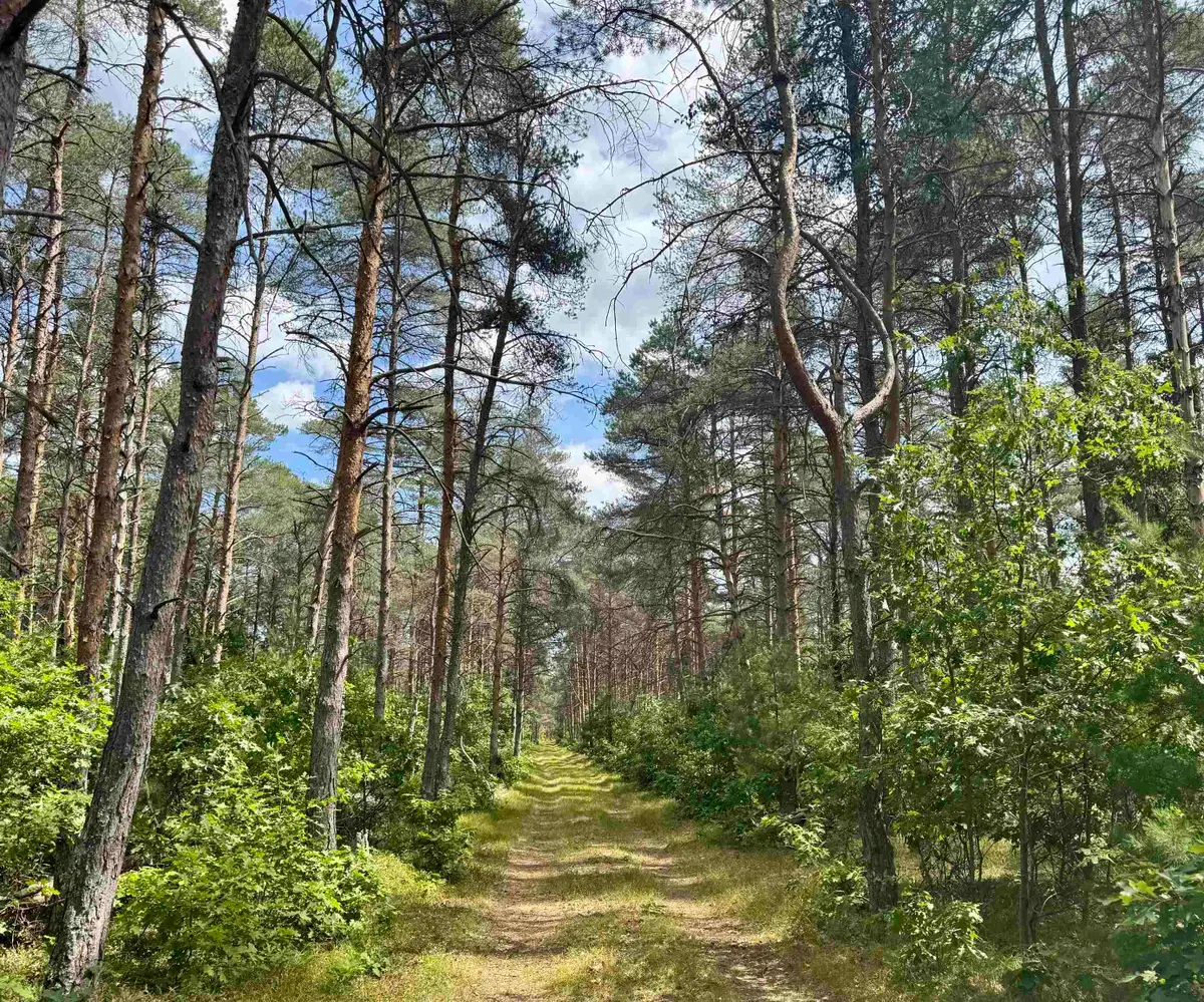 4105 N Strawberry, Harrison, MI 48625 - Image #1