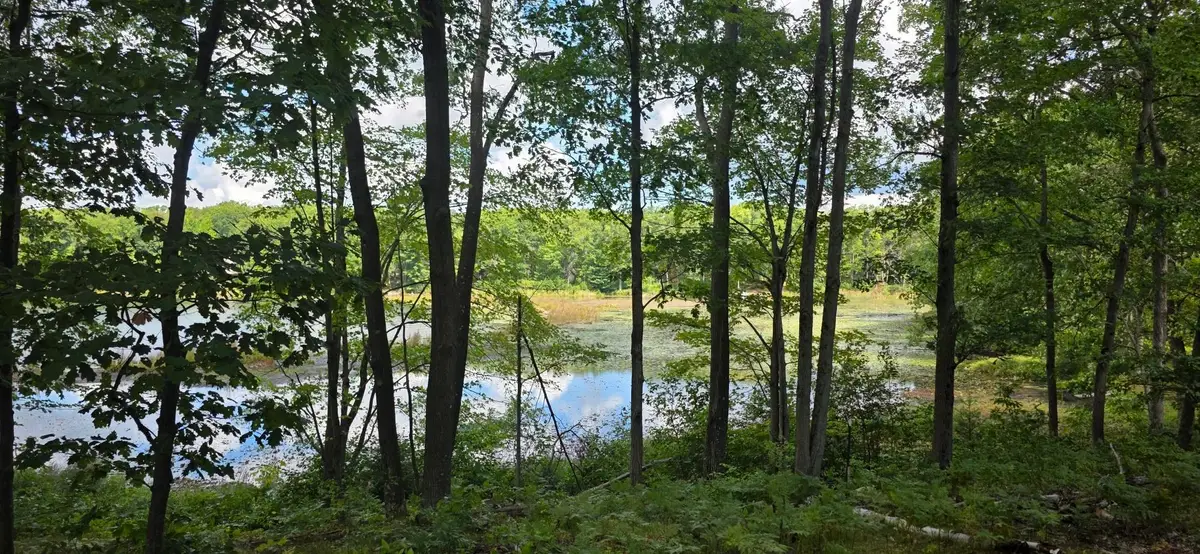 Lot 300 Jaunita Indian, Harrison, MI 48625 - Image #1