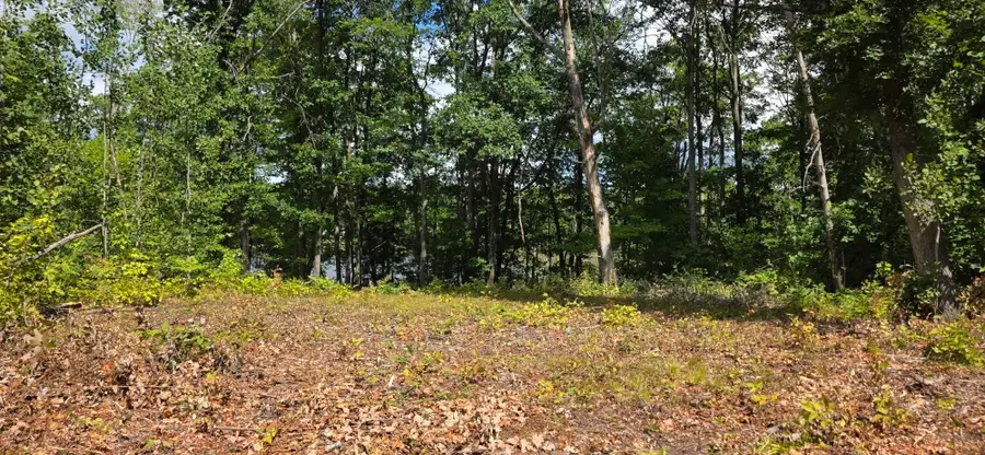 Lot 300 Jaunita Indian, Harrison, MI 48625 - Image #2