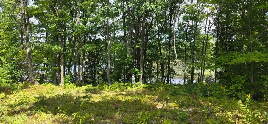 Lot 300 Jaunita Indian, Harrison, MI 48625 - Image #3